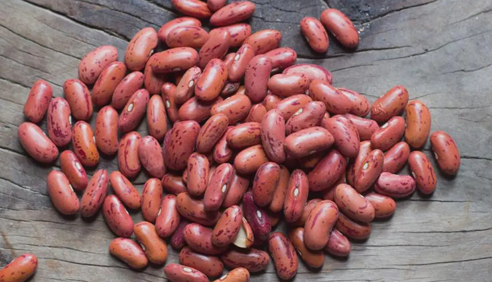rajma-Optimized-960x550.webp