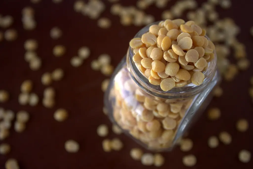 channa-166896_1280.webp