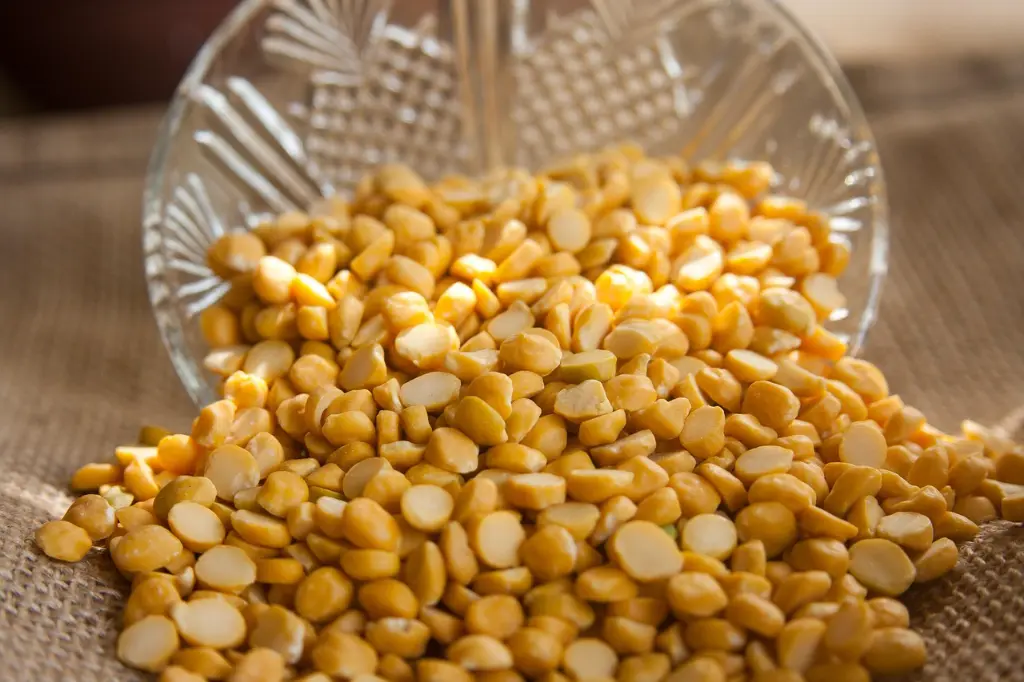 chana-166987_1280.webp