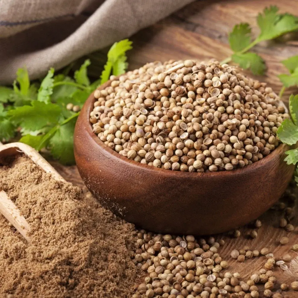 corianderPowder.webp