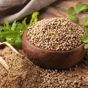 corianderPowder.webp