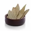 image_0901 (18).webp