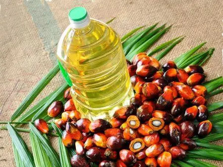 2401-104791-cote-d-ivoire-les-expeditions-d-huile-de-palme-brute-ont-progresse-a-un-taux-annuel-de-20-entre-2016-et-2021-usda_M.webp
