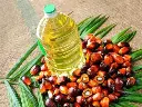 2401-104791-cote-d-ivoire-les-expeditions-d-huile-de-palme-brute-ont-progresse-a-un-taux-annuel-de-20-entre-2016-et-2021-usda_M.webp