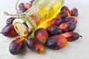 palm-oil-1024x683-1.webp