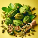 Fresh green cardamom pods with some opened to show seeds, Freshlink branding, yellow background. (3).webp