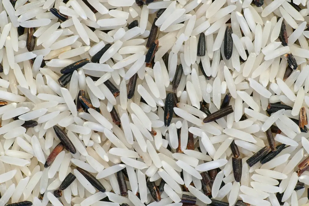 rice-5236375_1280.webp