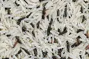 rice-5236375_1280.webp