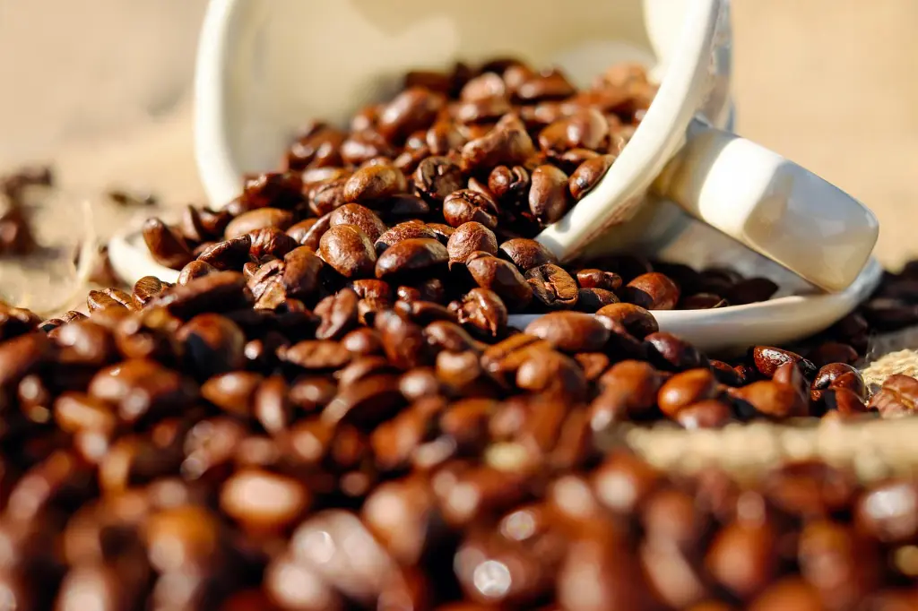 coffee-1576552_1280.webp