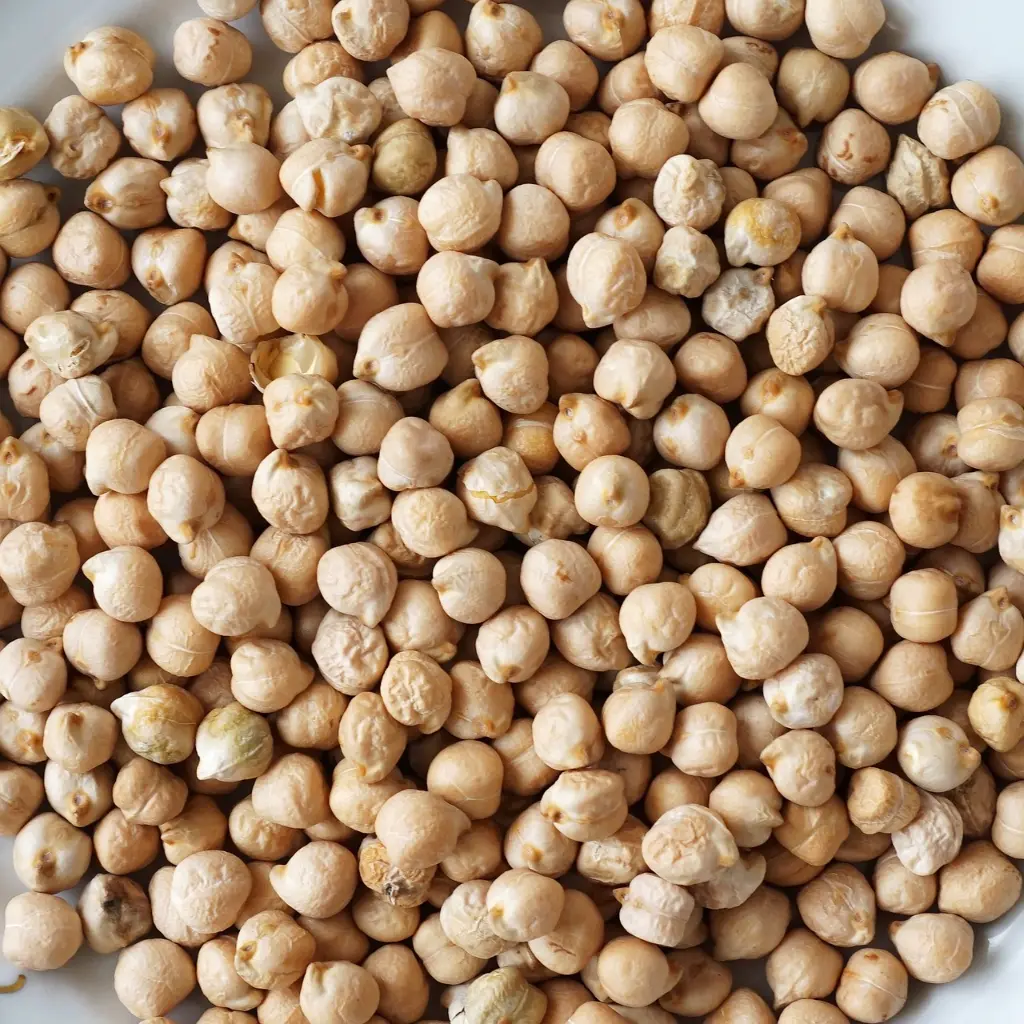 chickpea-2240388_1280.webp