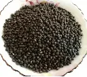 black-moong-dal-1684917699-6907993.webp