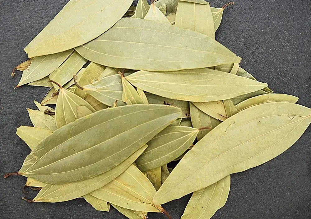  Bay Leaves (Tej Patta) - 1 Kg 