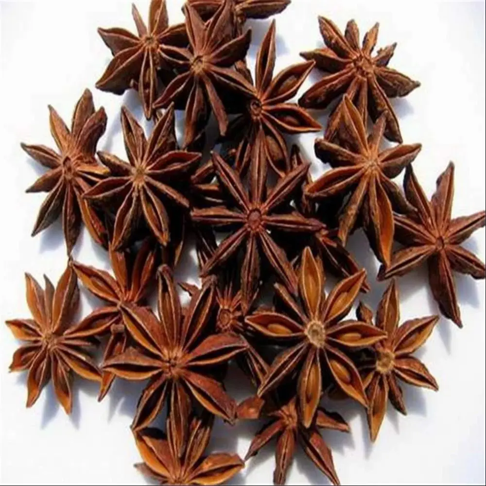 Star Anise (Chakra Phool)   - 250 Grams 