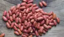Rajma (Red Kidney Beans) 