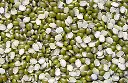 Moong Dal Chilka (Split Green Gram with Skin)