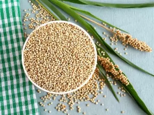 Organic Jowar (Sorghum) - 1 Kg 