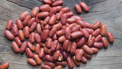 Rajma (Red Kidney Beans) 
